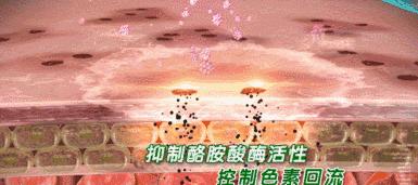 祛黄淡斑美白精华推荐,377美白淡斑精华哪款效果最好