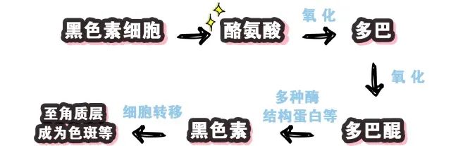 祛黄淡斑美白精华推荐,377美白淡斑精华哪款效果最好