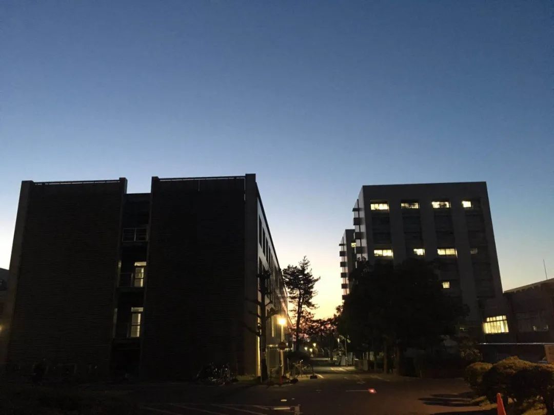 日本“佛系封城”是种怎样的体验？留日夫妻讲述：未完全限制出行，全靠民众自觉｜海外华人抗疫故事