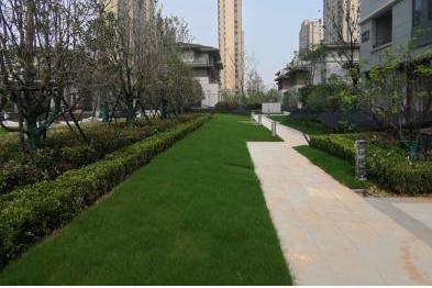 城市景观片区设计案例图,如何做出优秀的居住区景观设计