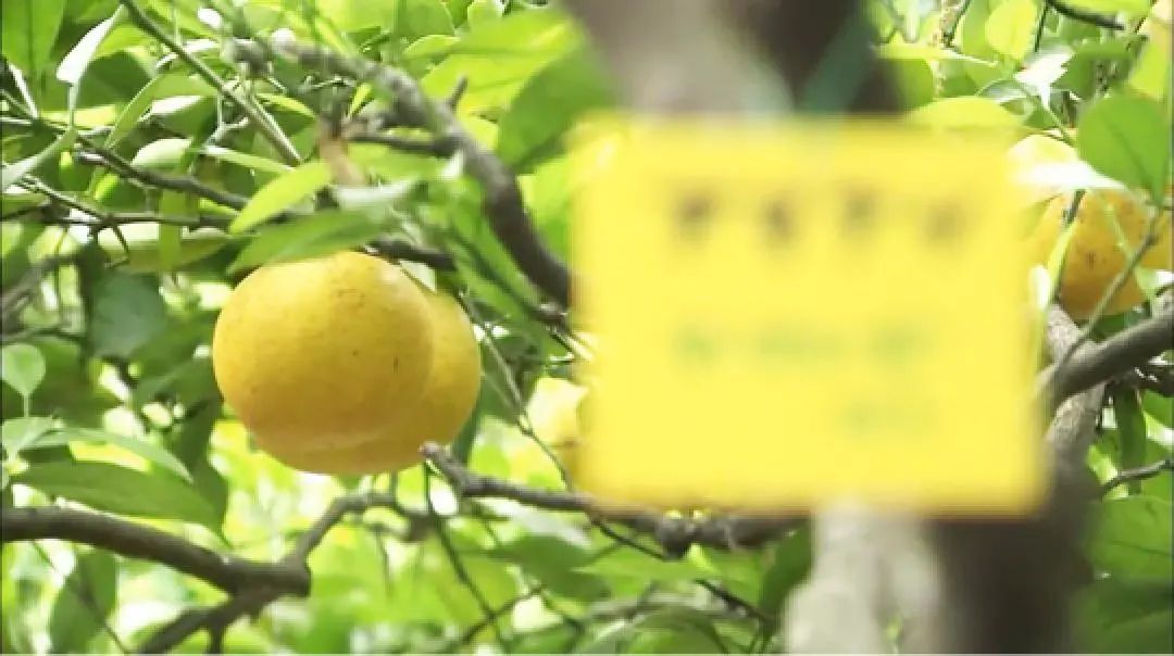 四季在变换唯一不变,四季在变唯有初心不变