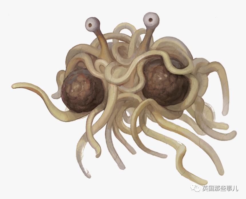 深海发现40多米的水母,深海发现巨型水母