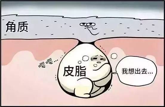 用手搓脸搓出泥把脸搓掉皮,用它搓一搓皮肤嫩滑透亮不显老