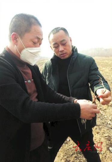 张健赫：带病下乡扶贫 脸上那道疤就是荣誉勋章