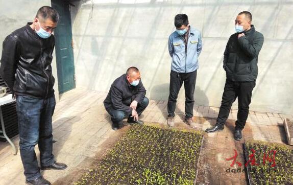 张健赫：带病下乡扶贫 脸上那道疤就是荣誉勋章