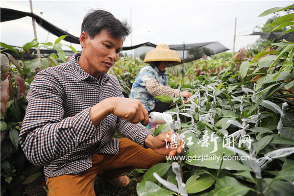贫困户创业小生意,贫困户成为创业人