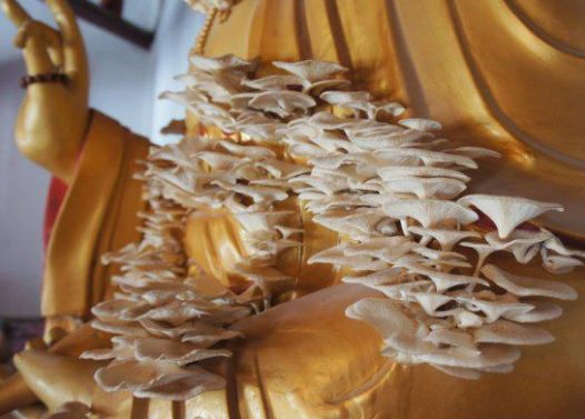 菩萨是如何普渡众生的,菩萨到底灵不灵验