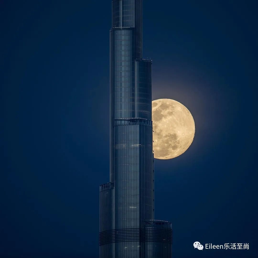 迪拜王妃出逃的真实原因,迪拜出逃英国王妃