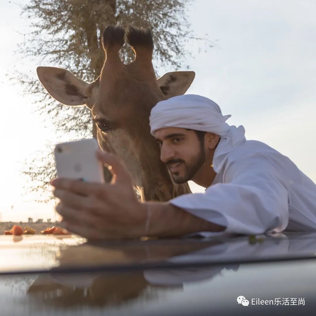 迪拜王妃出逃的真实原因,迪拜出逃英国王妃