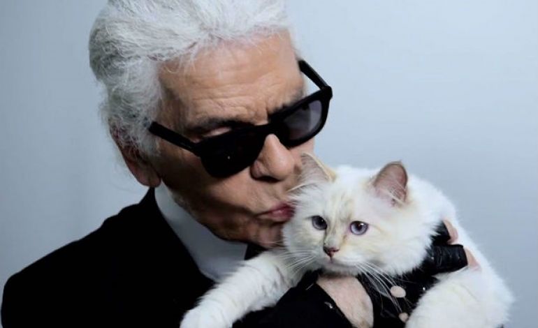 21亿遗产继承猫,继承21亿财产的猫