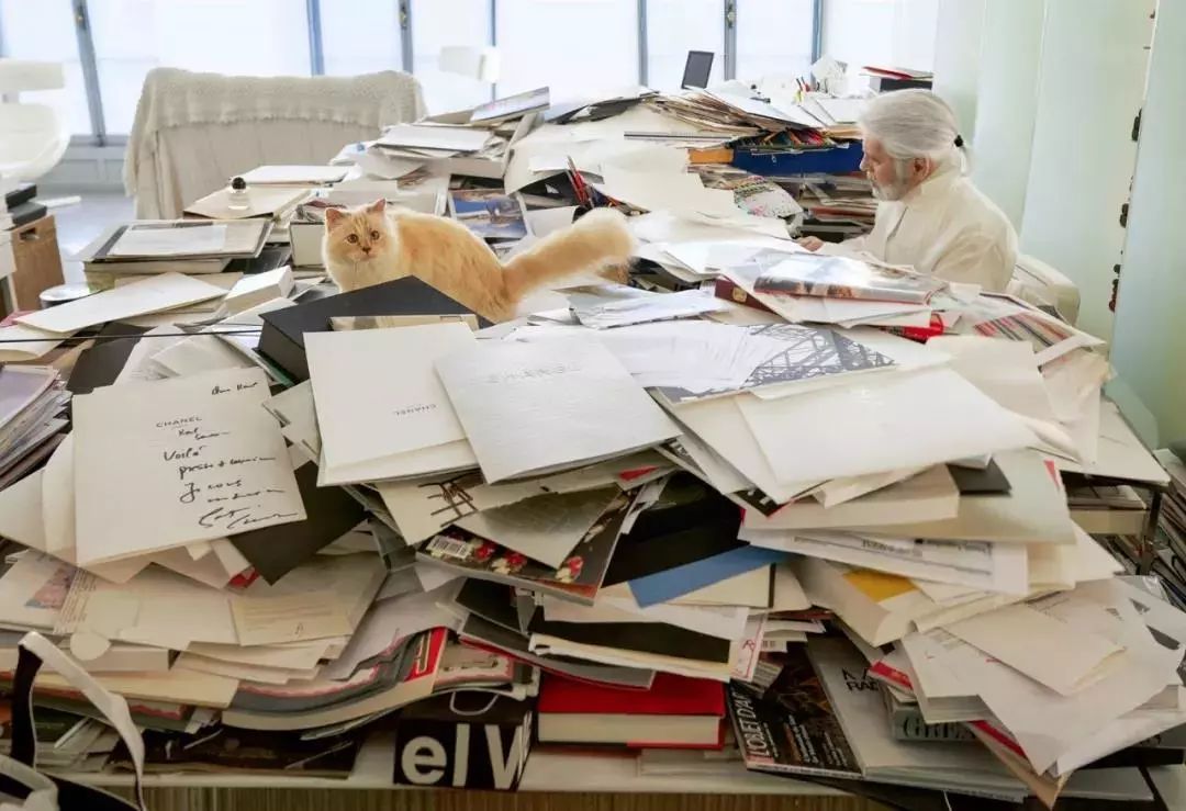 21亿遗产继承猫,继承21亿财产的猫