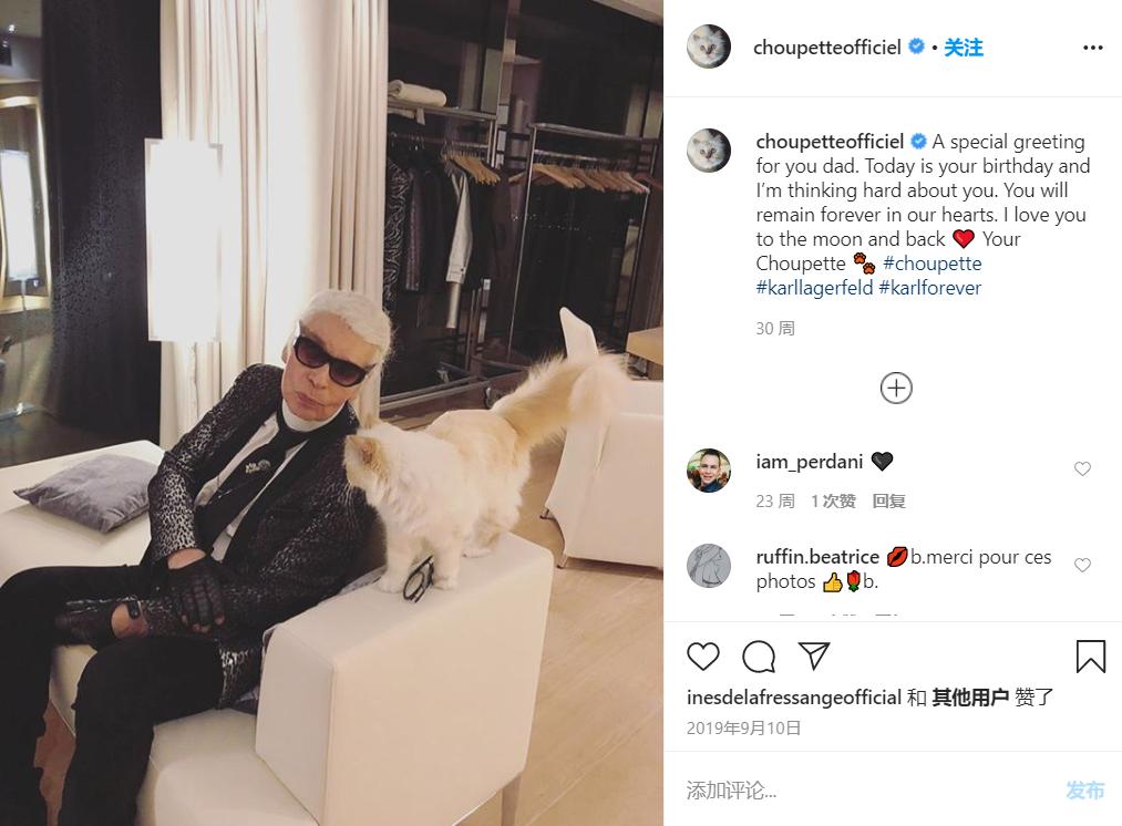 21亿遗产继承猫,继承21亿财产的猫