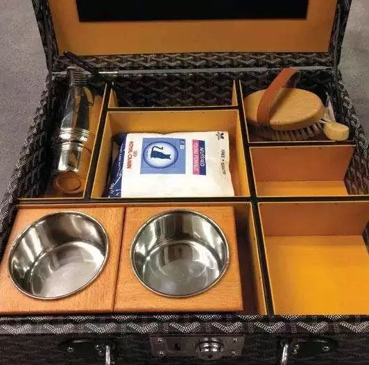 21亿遗产继承猫,继承21亿财产的猫