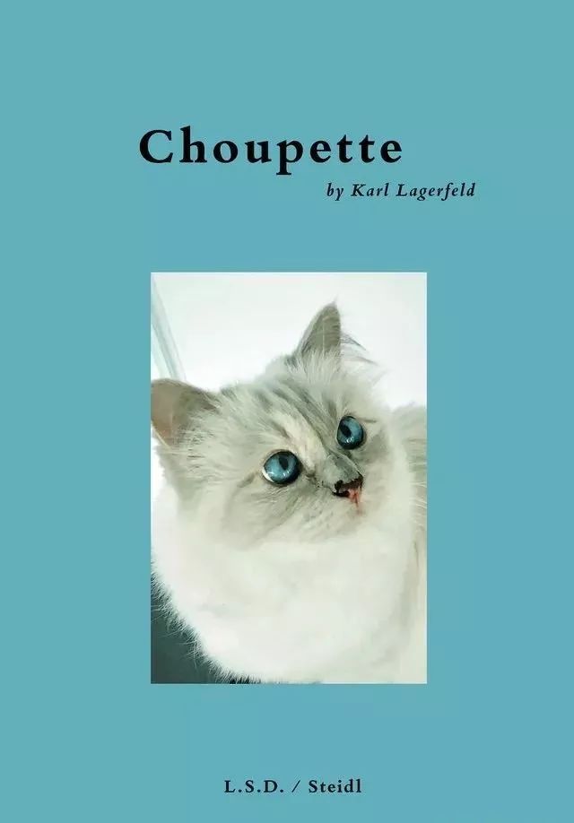 21亿遗产继承猫,继承21亿财产的猫