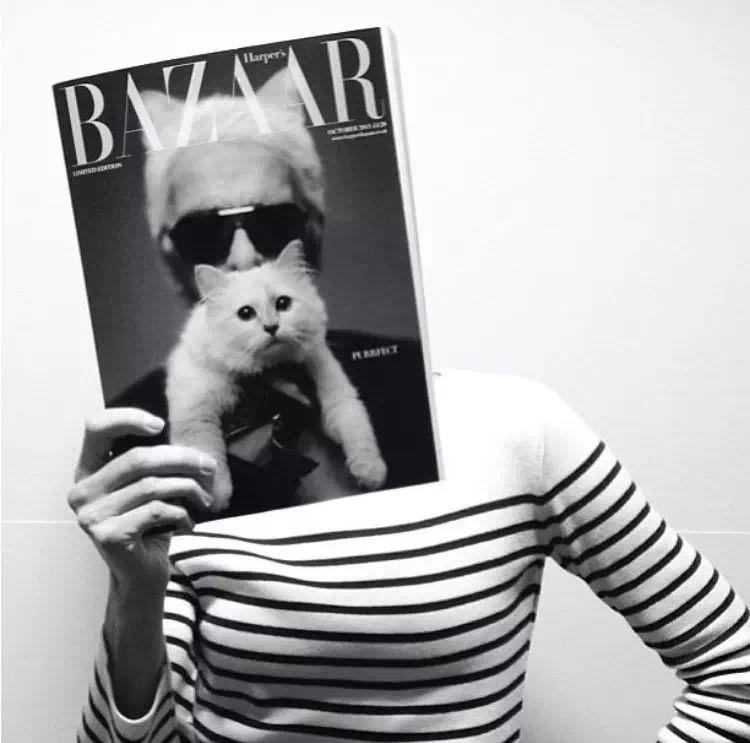 21亿遗产继承猫,继承21亿财产的猫