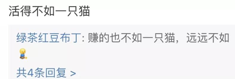 21亿遗产继承猫,继承21亿财产的猫