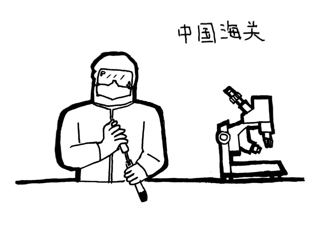 国门安全宣传海关,海关国门守护内容