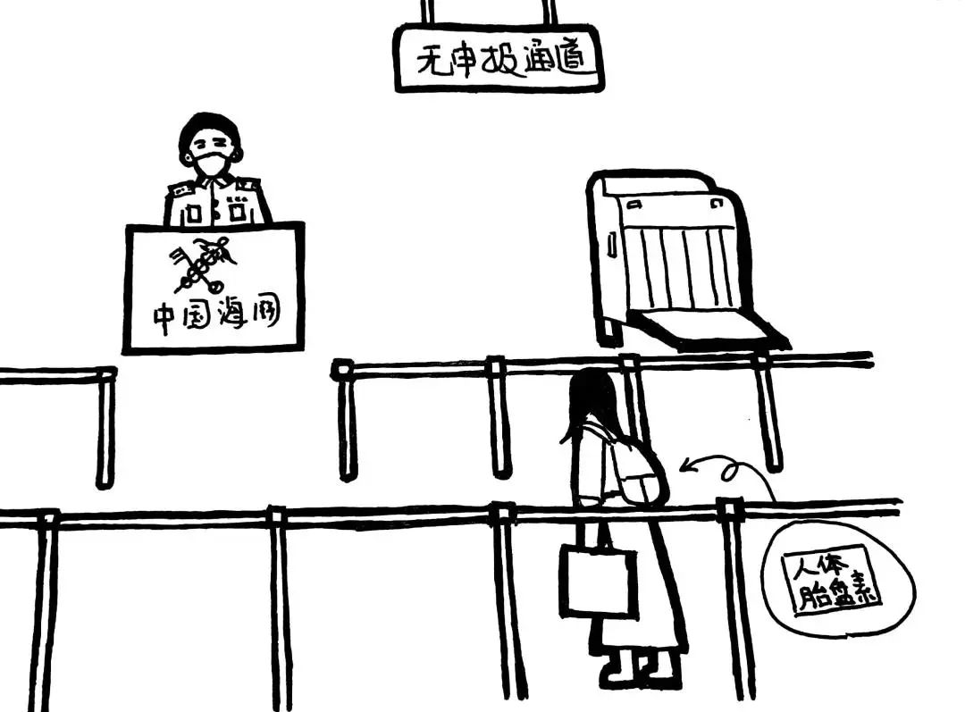 国门安全宣传海关,海关国门守护内容