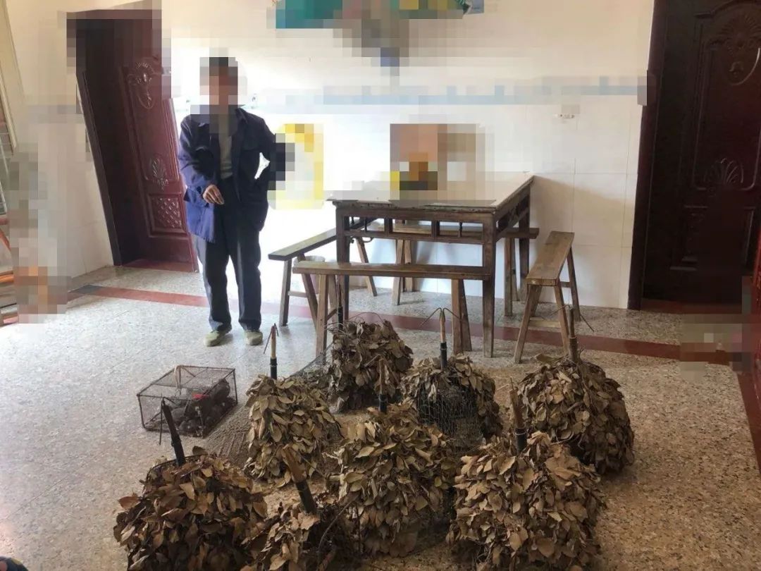 抓捕鸟类触犯法律吗,抓捕鸟属于犯法吗