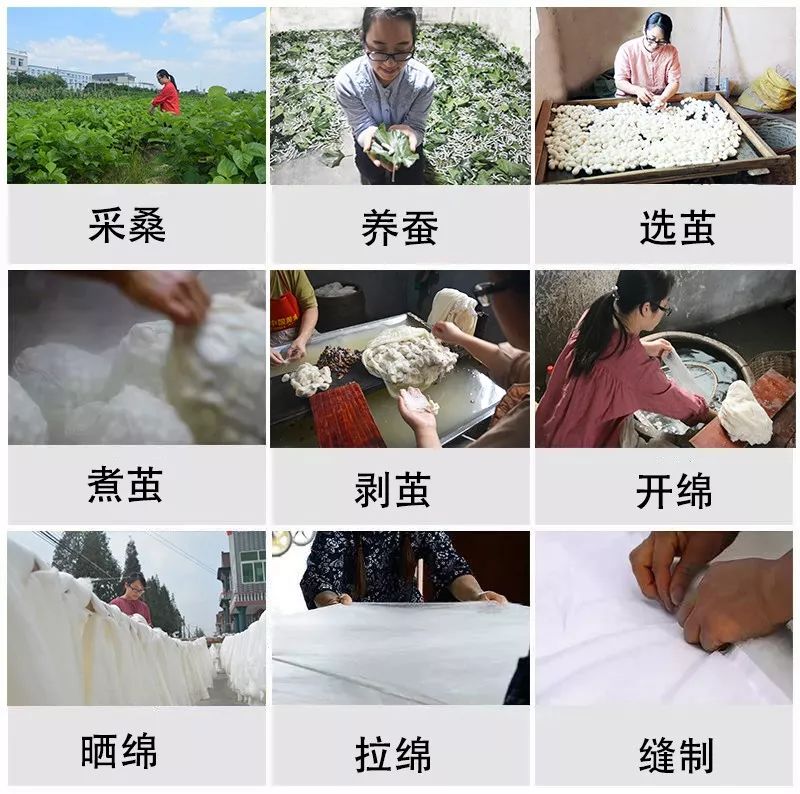 蚕丝被被曝光了！长期盖蚕丝被的人发生了惊人变化...没看的赶紧看看吧