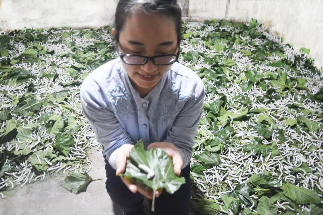 蚕丝被被曝光了！长期盖蚕丝被的人发生了惊人变化...没看的赶紧看看吧