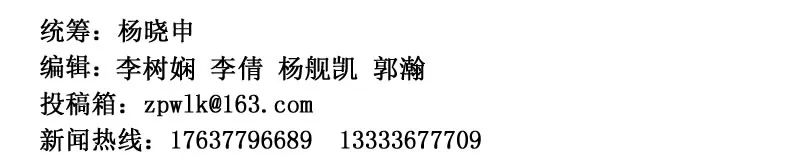 镇平市玉雕行业 (镇平县玉雕行业)