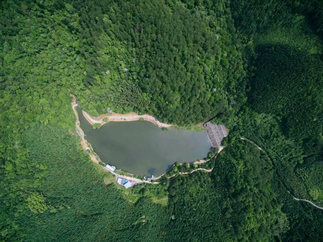 康养休闲之旅,康养之旅广西