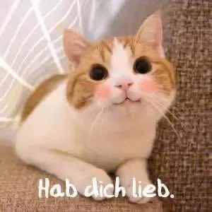 表情包,朋友圈,发红包,加好友……这些微信用语,你会用德语说吗?