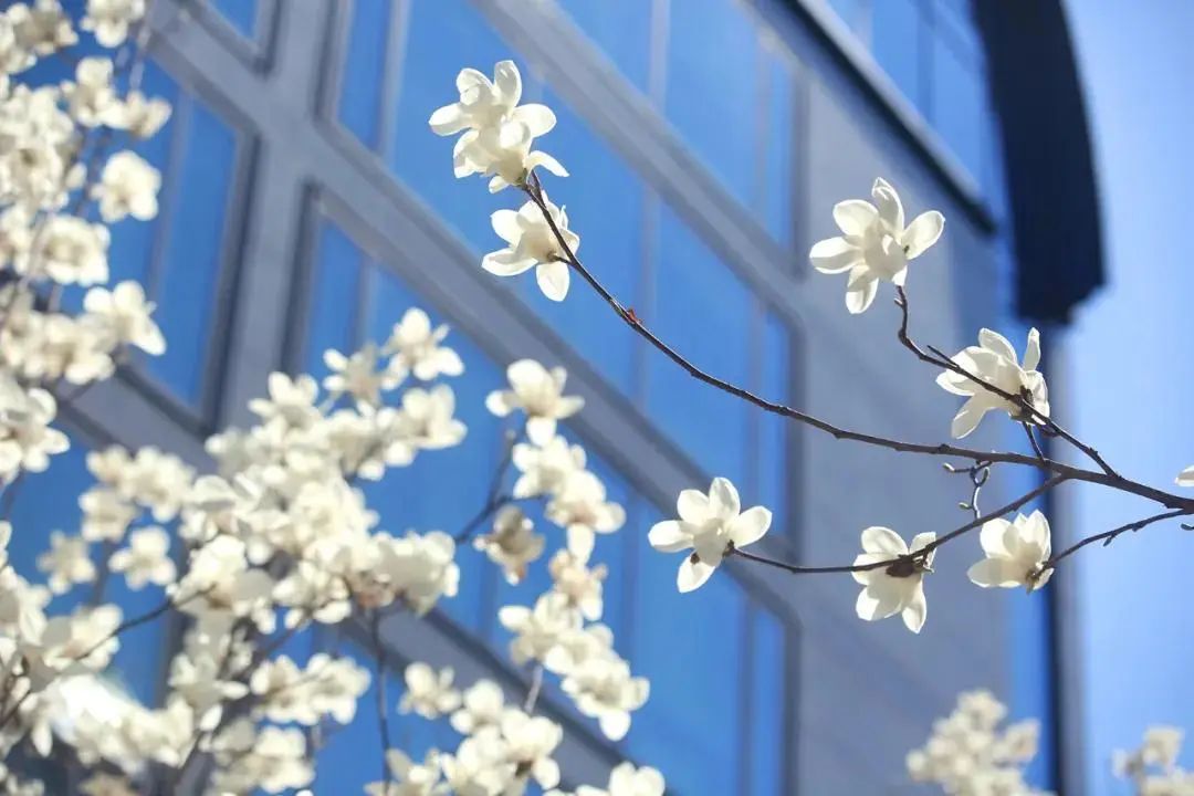 从生活之所到精神家园,从保障民生到守护人间烟火