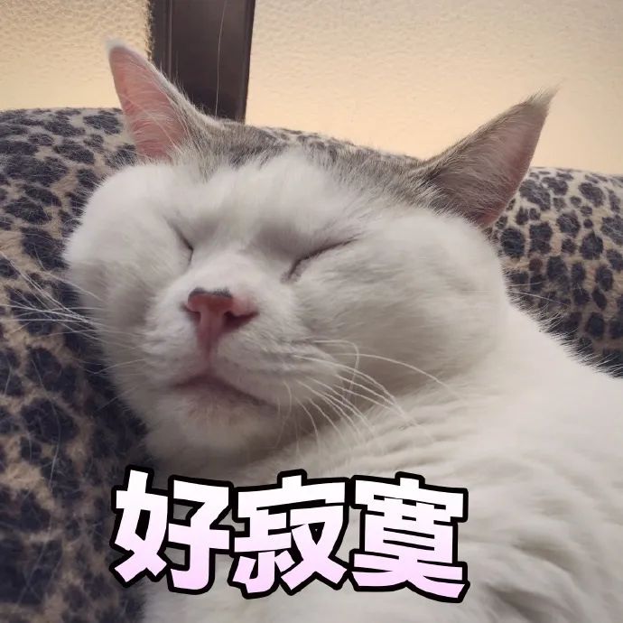 眉笔测评|没想到黑马出道到才10几块