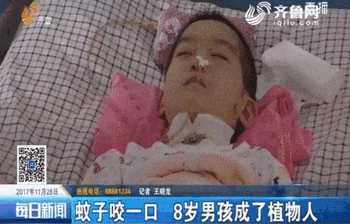 日本人真会玩！家里放个它，蚊子自动远离10米！比蚊香管用100倍