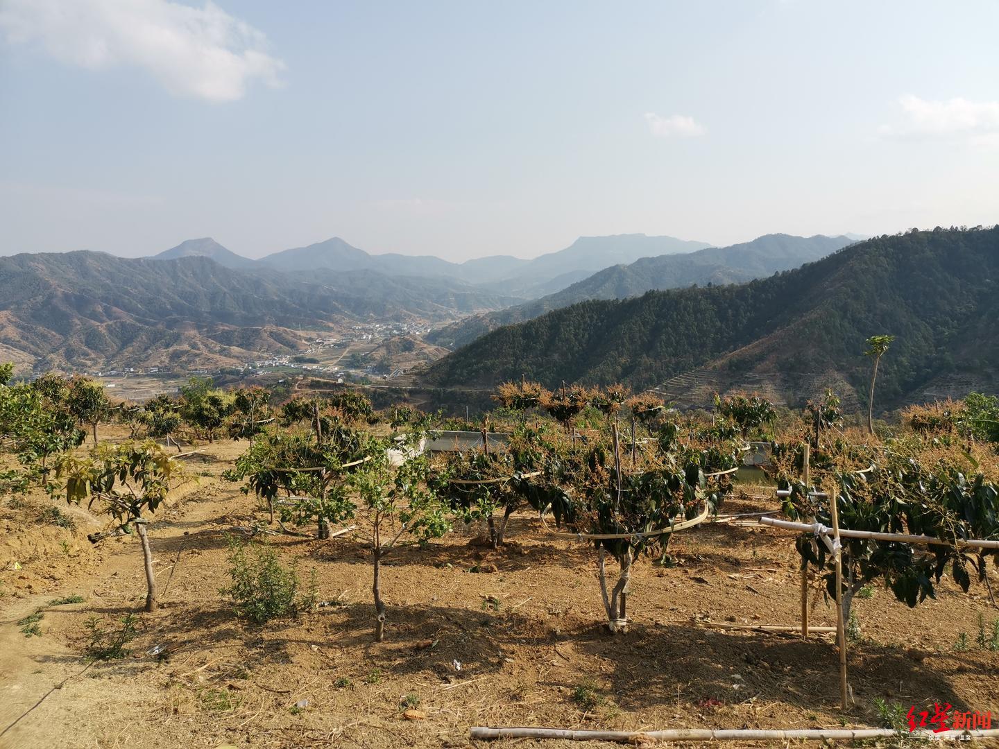 关于农民自费修山路被罚4万元,农民修路造自费山路被罚最新进展