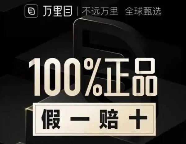 罗敏趣店1000亿,罗敏一战成名