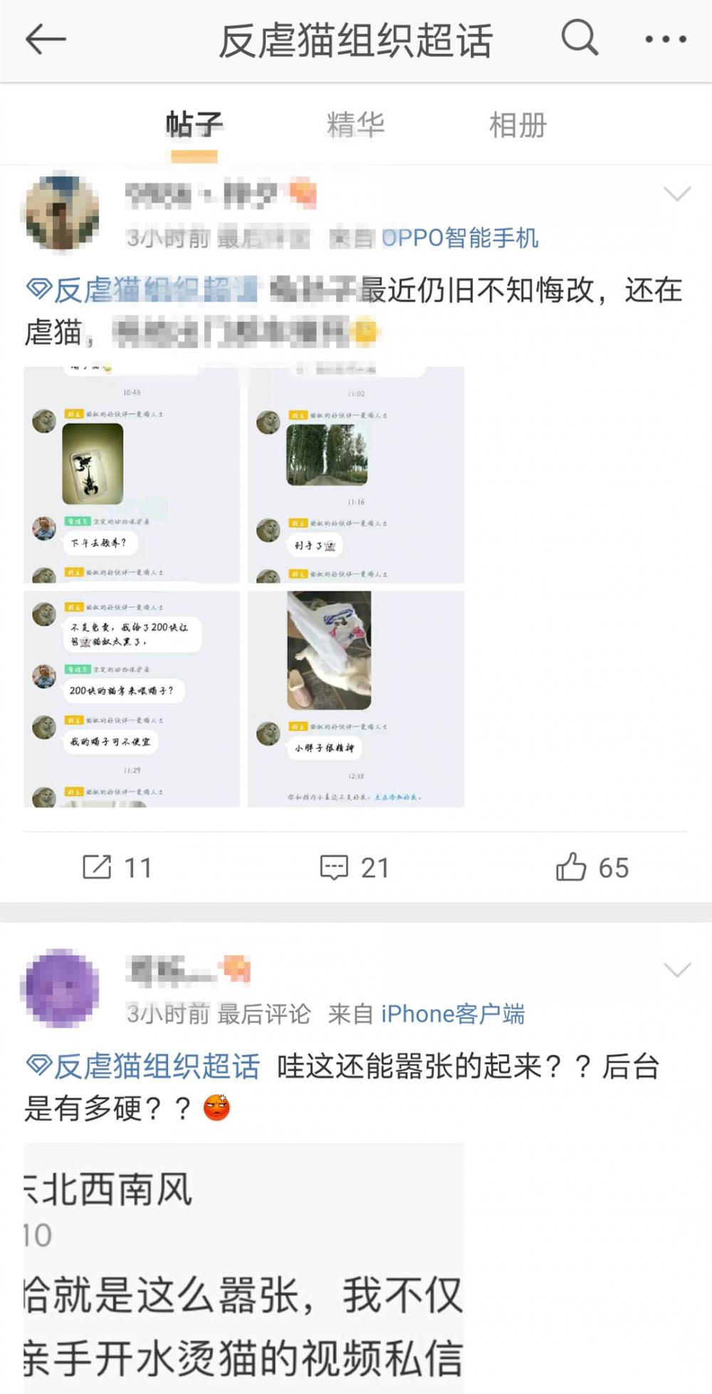 花生盾学院QQ群被封后“重出江湖”，还在直播发布虐猫视频