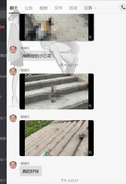 花生盾学院QQ群被封后“重出江湖”，还在直播发布虐猫视频