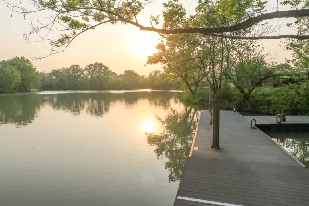 西溪度假酒店推荐,杭州木守西溪美宿