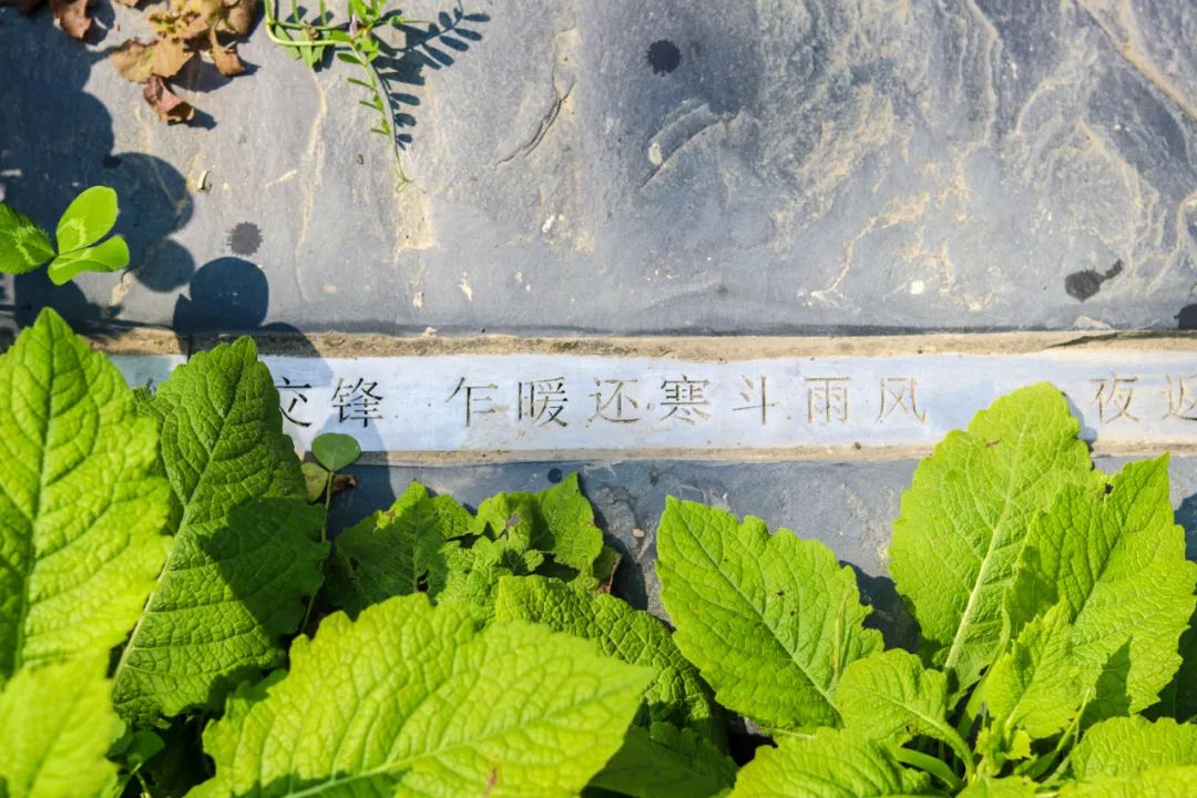 西溪度假酒店推荐,杭州木守西溪美宿