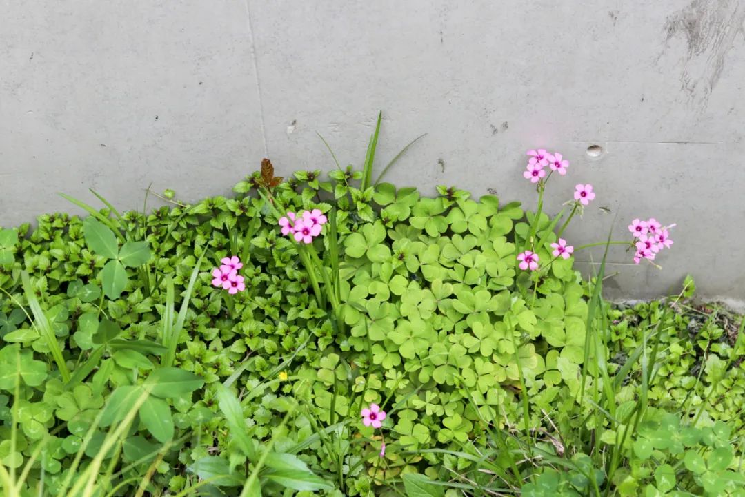 西溪度假酒店推荐,杭州木守西溪美宿