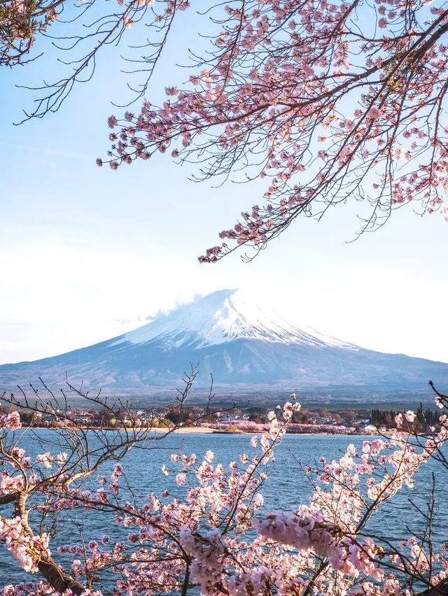 值得入手的几款提升幸福感的好物,日系提升幸福感的好物