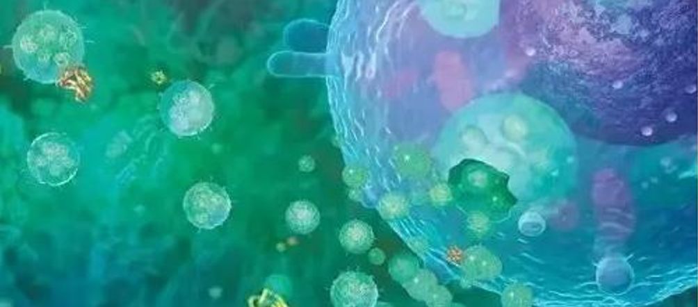 外泌体和干细胞可以一起回输吗,干细胞外泌体最新研究进展