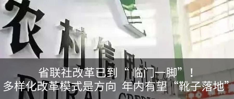 “农”墨绘就“春耕图”！河北农信社一季度累放78.6亿元助春耕