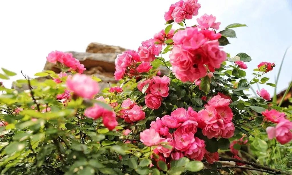 三里畈温泉二日游攻略,罗田三里畈温泉团购价