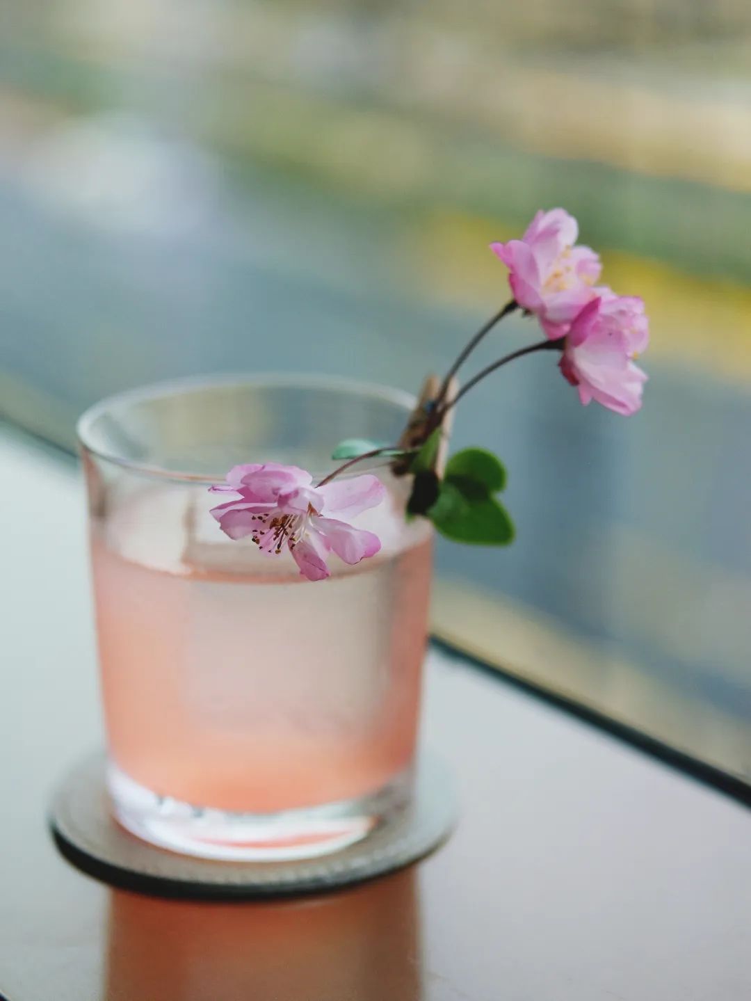 魔都新鸡尾酒指南|春暖花开日,让我们用美酒一解忧愁