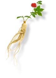 隔离14天后红码变黄码了,隔离14天变美挑战