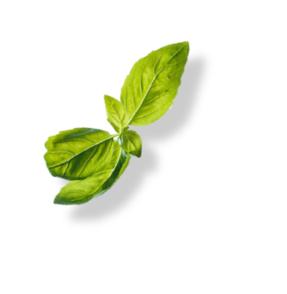 隔离14天后红码变黄码了,隔离14天变美挑战