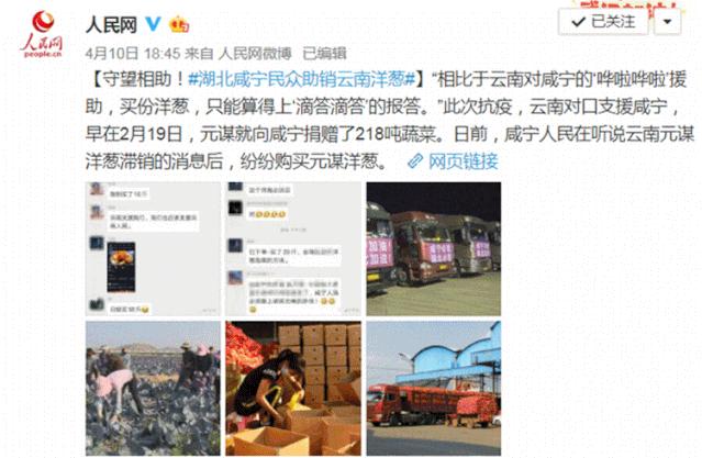 仅售9.9元/5斤！云南10万吨出口级洋葱困在地里，价格贱到农民流泪…央视已报道，恳请相助