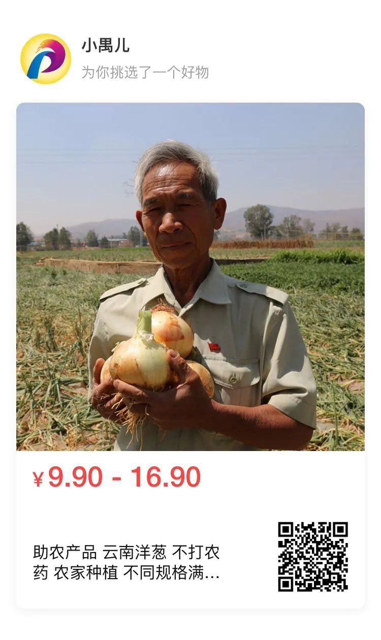 仅售9.9元/5斤！云南10万吨出口级洋葱困在地里，价格贱到农民流泪…央视已报道，恳请相助