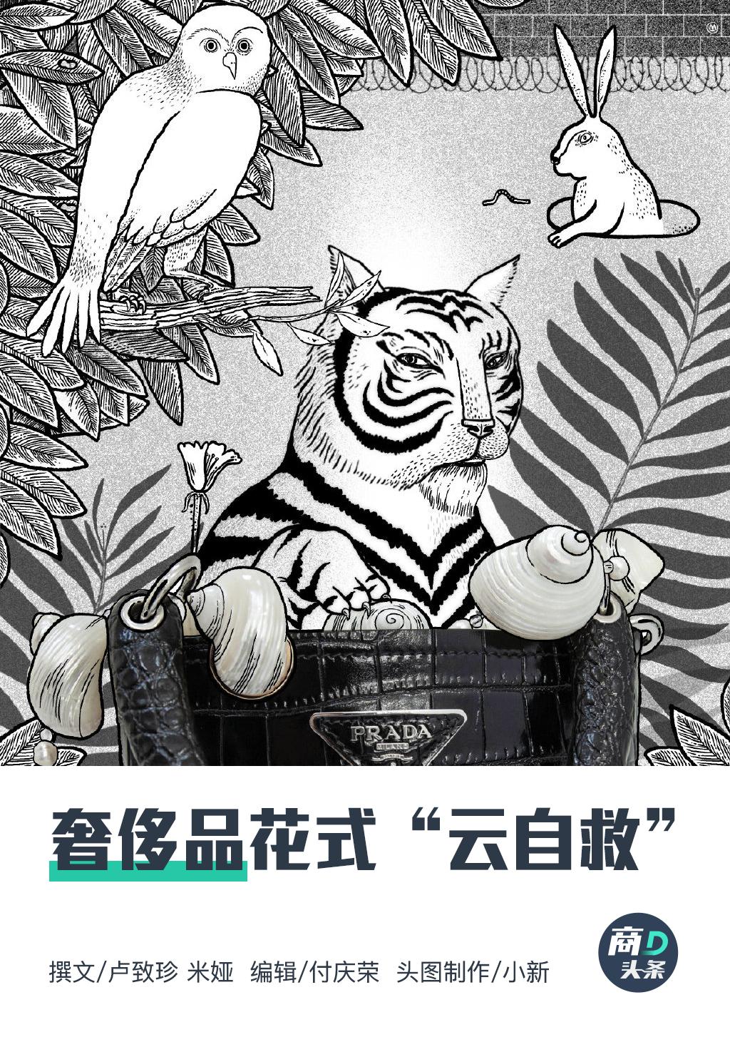 月黑风高夜，奢侈品被直播“追杀”