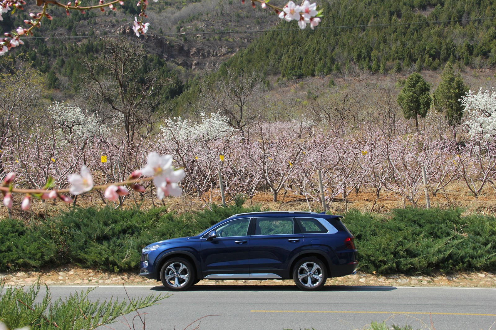 第5代胜达六座实测,第四代胜达指纹解锁