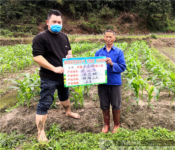 浦北县：以奖代补为贫困群众增产增收加档提速